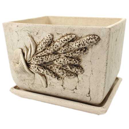 groß Bonsai-Schale 29 cm mit Untersetzer